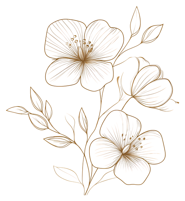 eeff6b81a9fd7324ed20e6a363356bc1.png