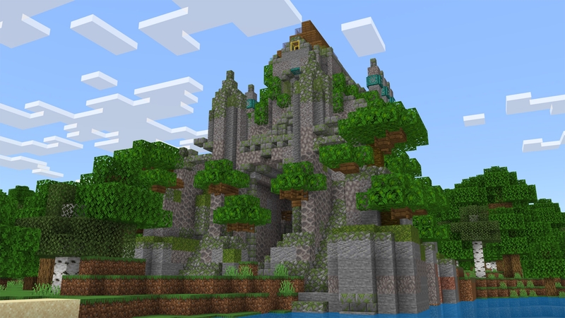 Image 11