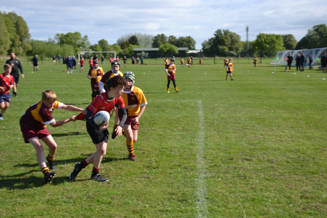 DSC-0141.jpg