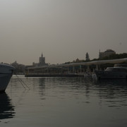 DSCF8895