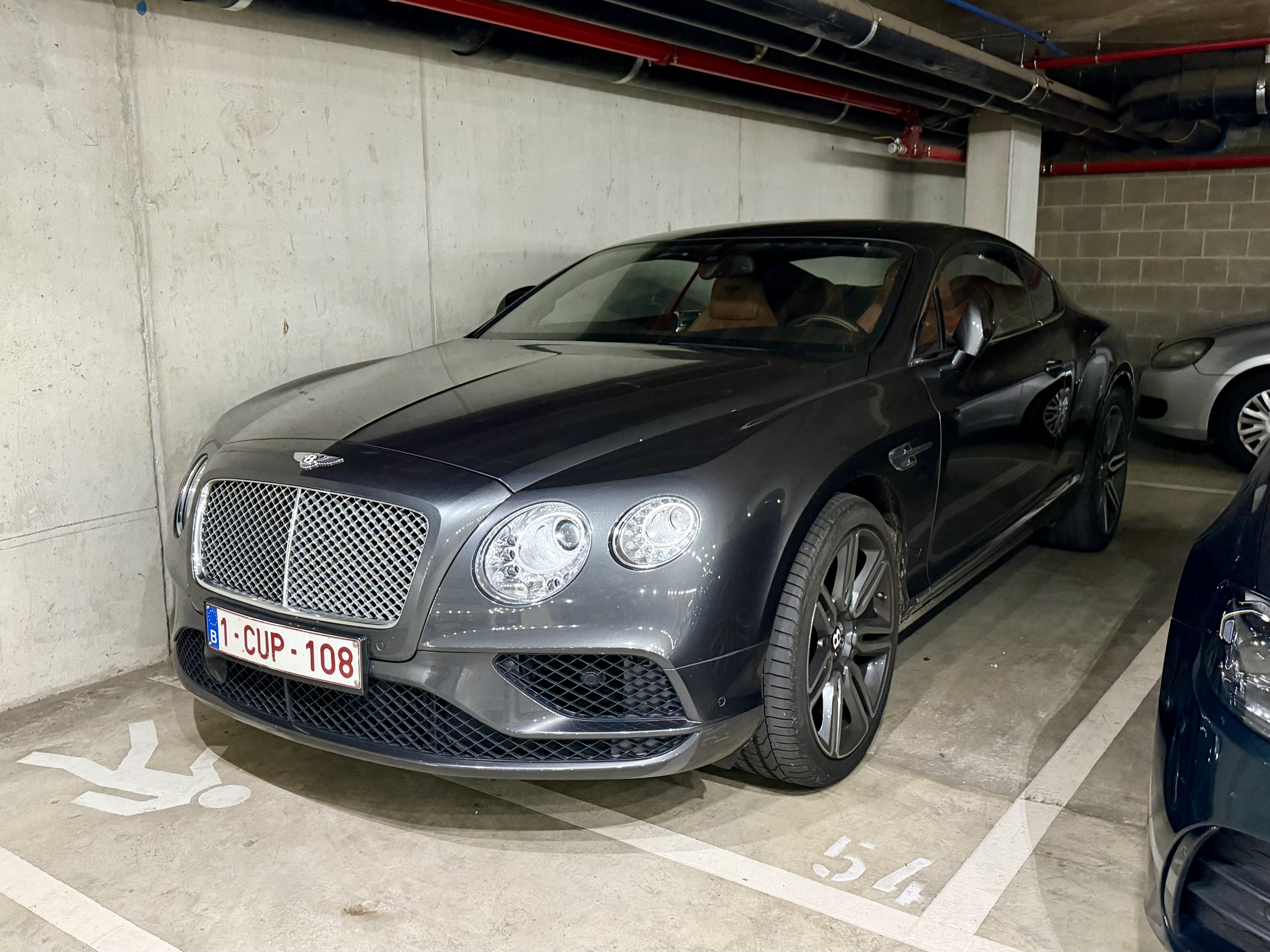 IMG-6919.jpg