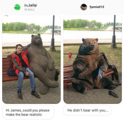Bear