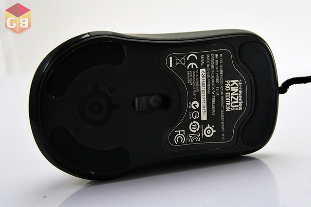 MG 5341