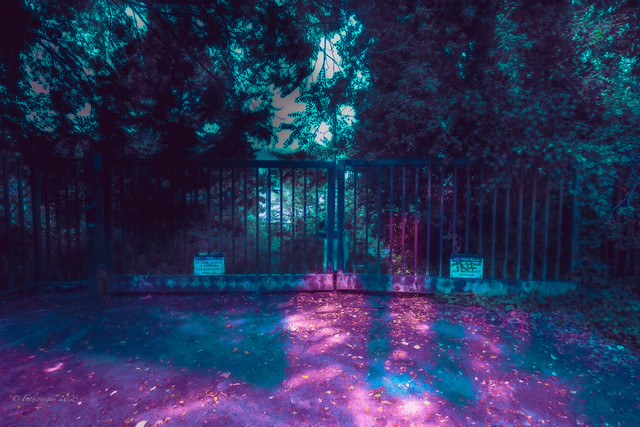 DSF1994