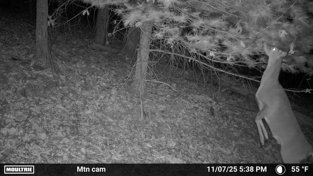 IMG-8086