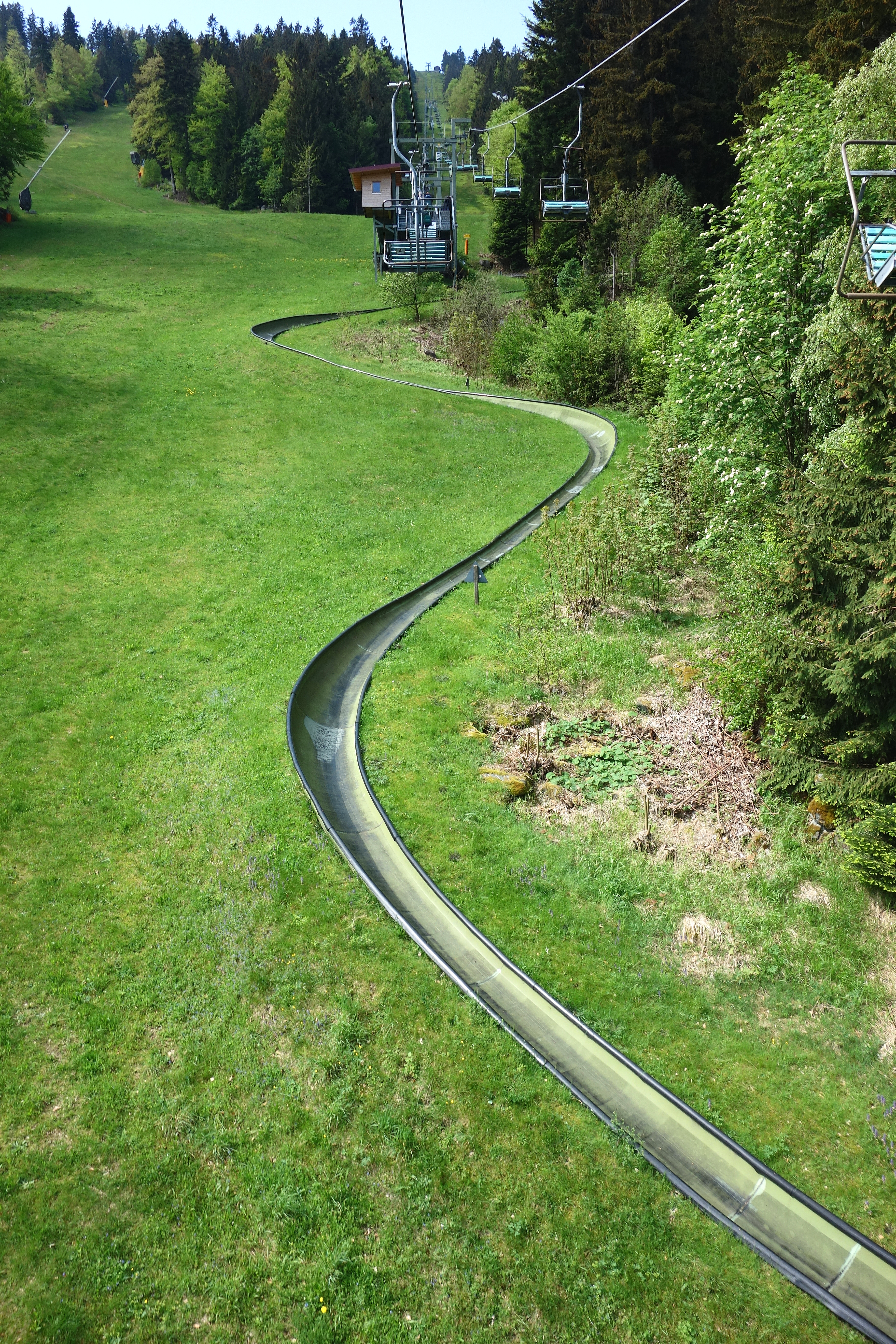 DSC07972