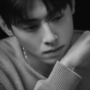 cha eun woo 1252493