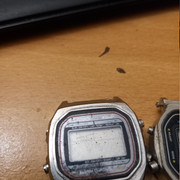 1000067076