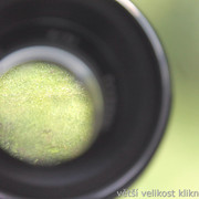 IMG-3055