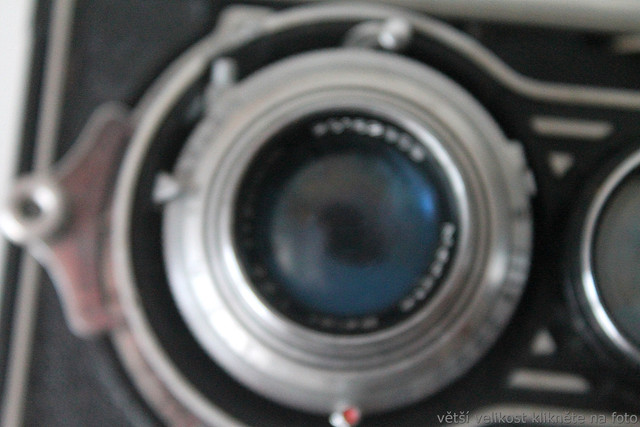 IMG-1602