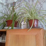 IMG-20220401-090010