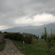 IMG-1330
