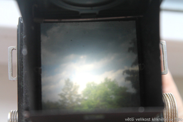 IMG-2550.jpg