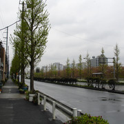 2008-04-13-08
