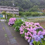 IMG-20230612-133643