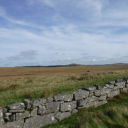 DSCF5516