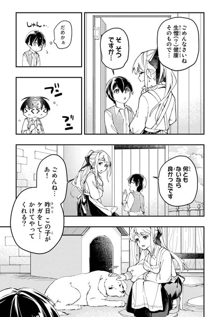 DLRAW-NET-013