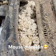 Mouse-Mansion