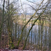 DSCF6263