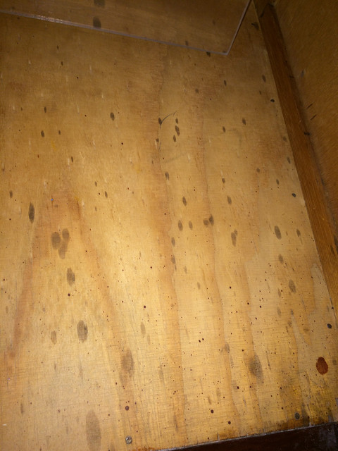 IMG-3646
