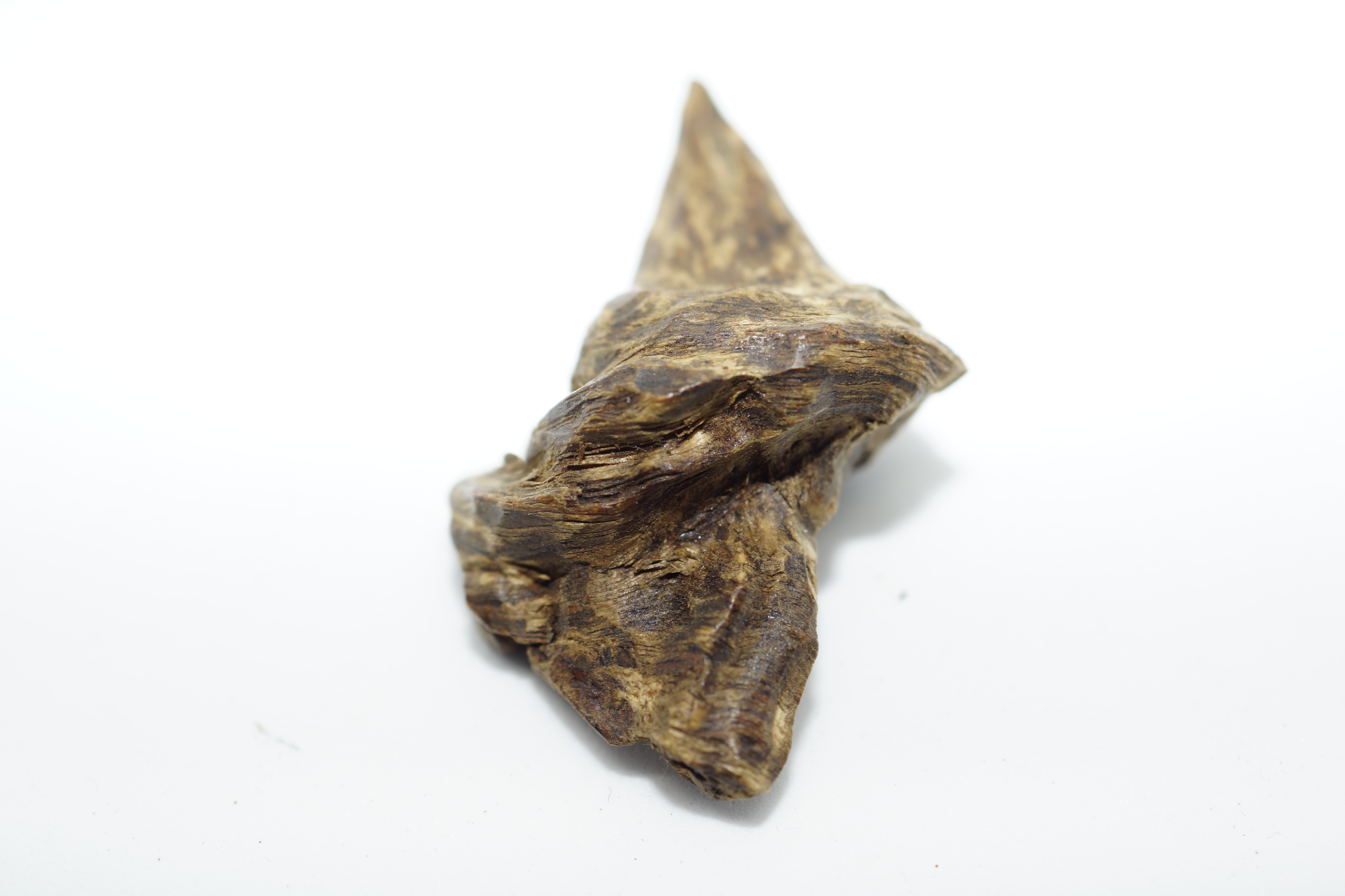 [Ouddict.com] Oud Photos