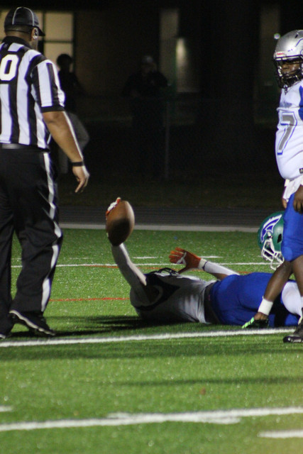 IMG-0319.jpg