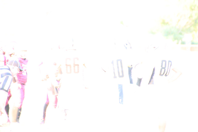 IMG-1578.jpg