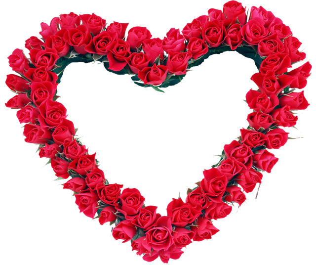 0-e670e-80b8cad6-orig