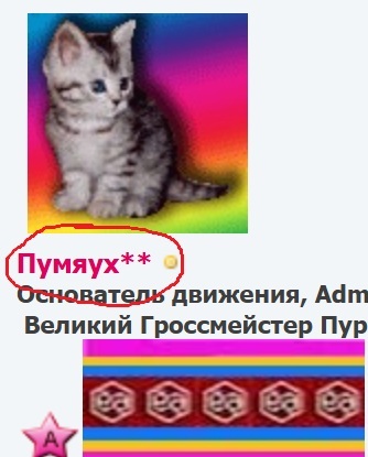 LSR1.jpg