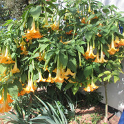IMG 2553