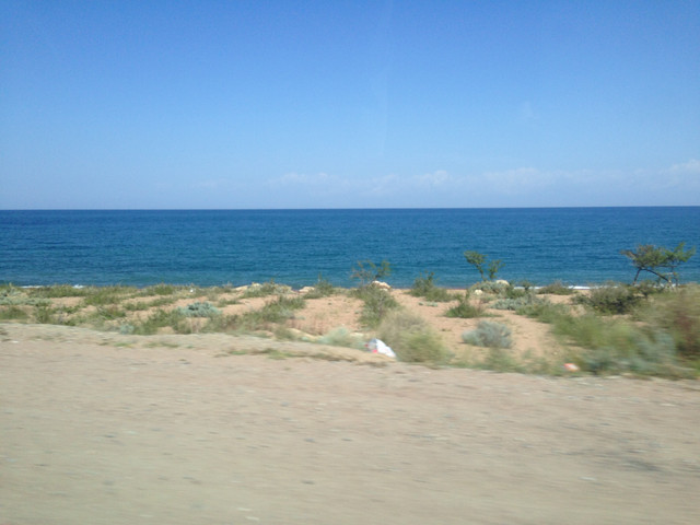 IMG 1559.jpg