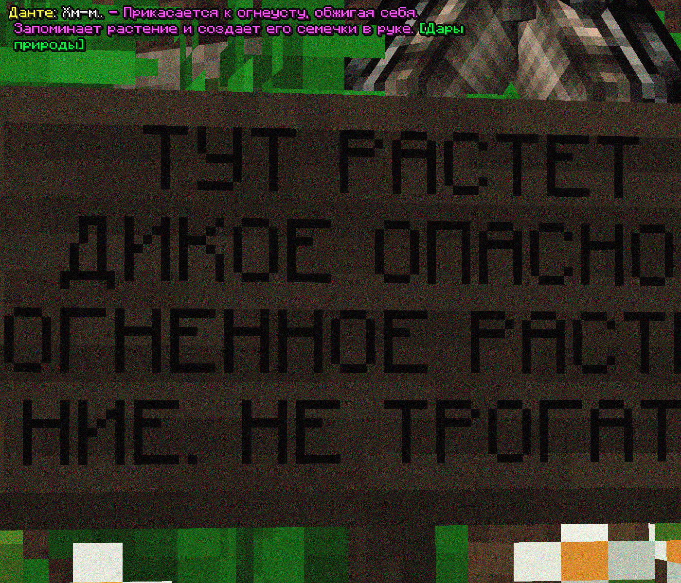 SS1.png
