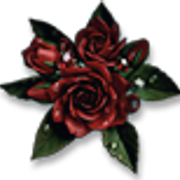 RedRose2