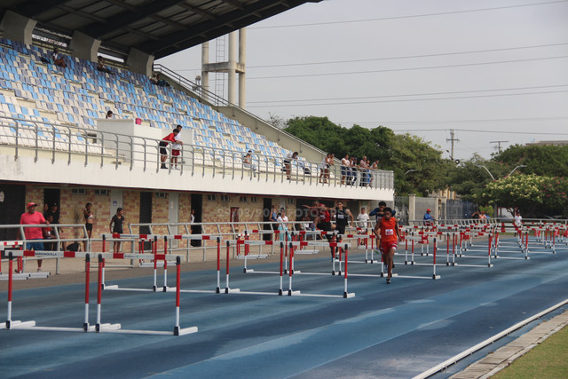 IMG-0033.jpg