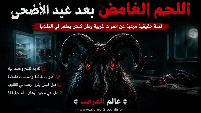 مطبخ مظلم - عالم المرعب