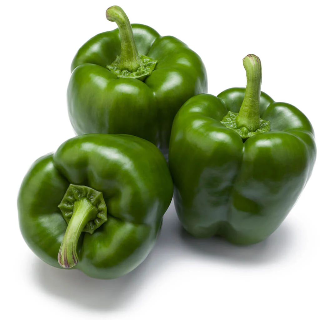 Capsicum