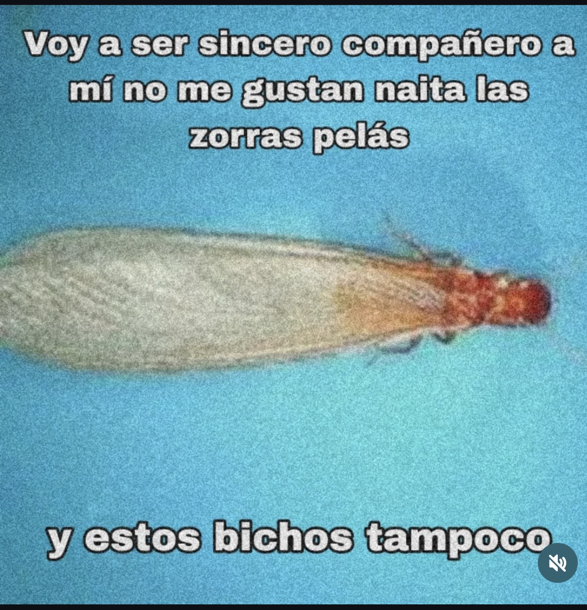 IMG-2228.jpg