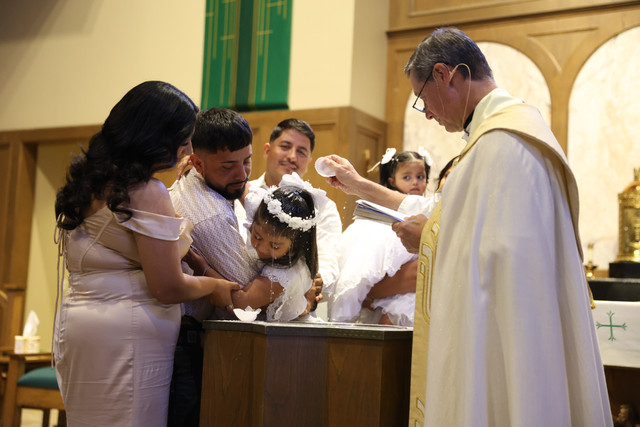 IMG-8785