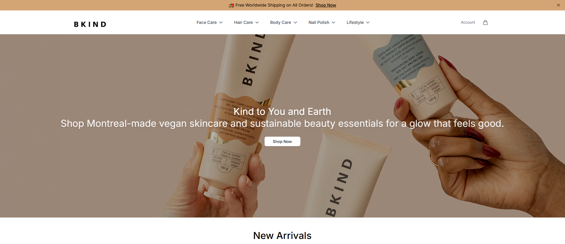 Primary capture · bkindskin.shop