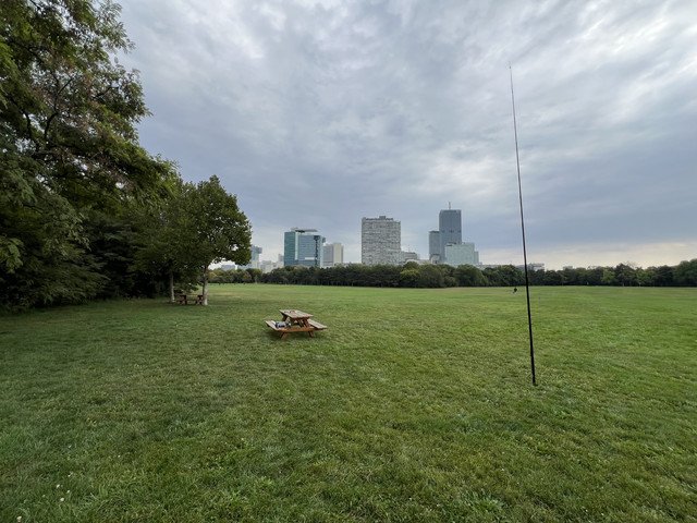 IMG-1667