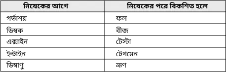 ব্যাখ্যার চিত্র