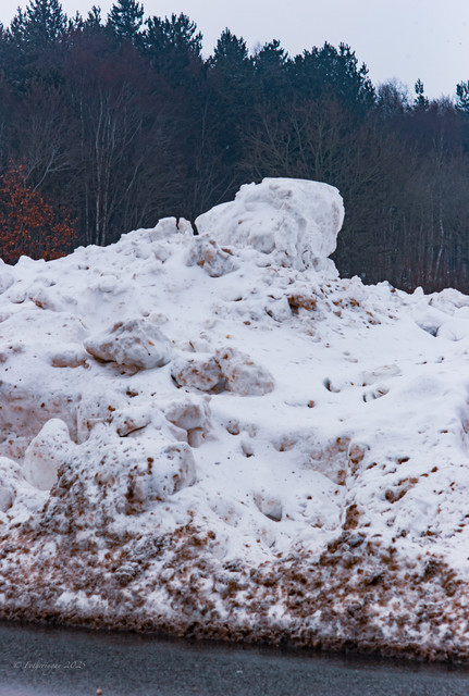 L1021424
