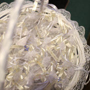 IMG-8617