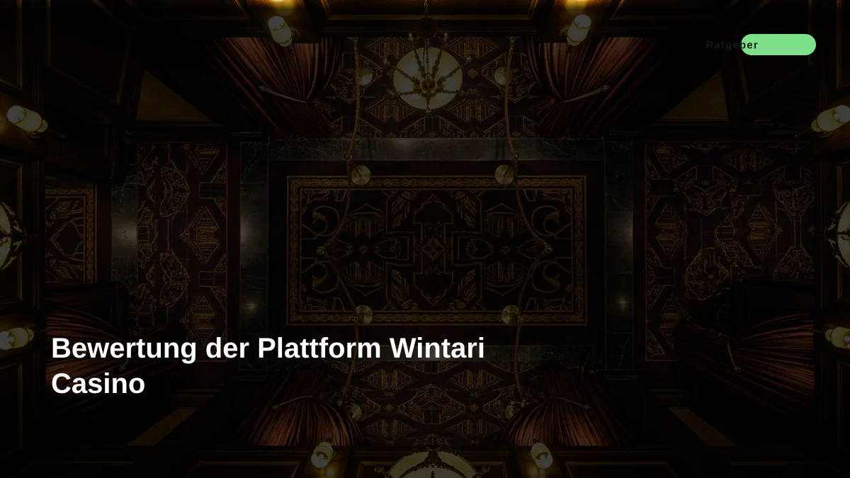 Bewertung der Plattform Wintari Casino