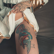 desantis set06