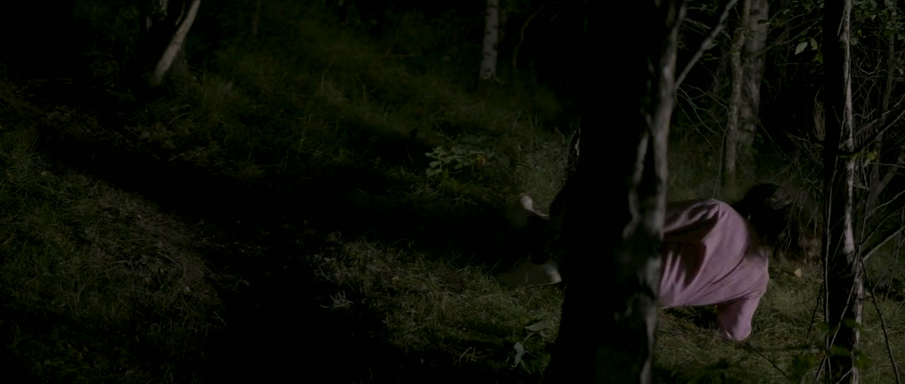 Shiver Me Timbers Screenshot