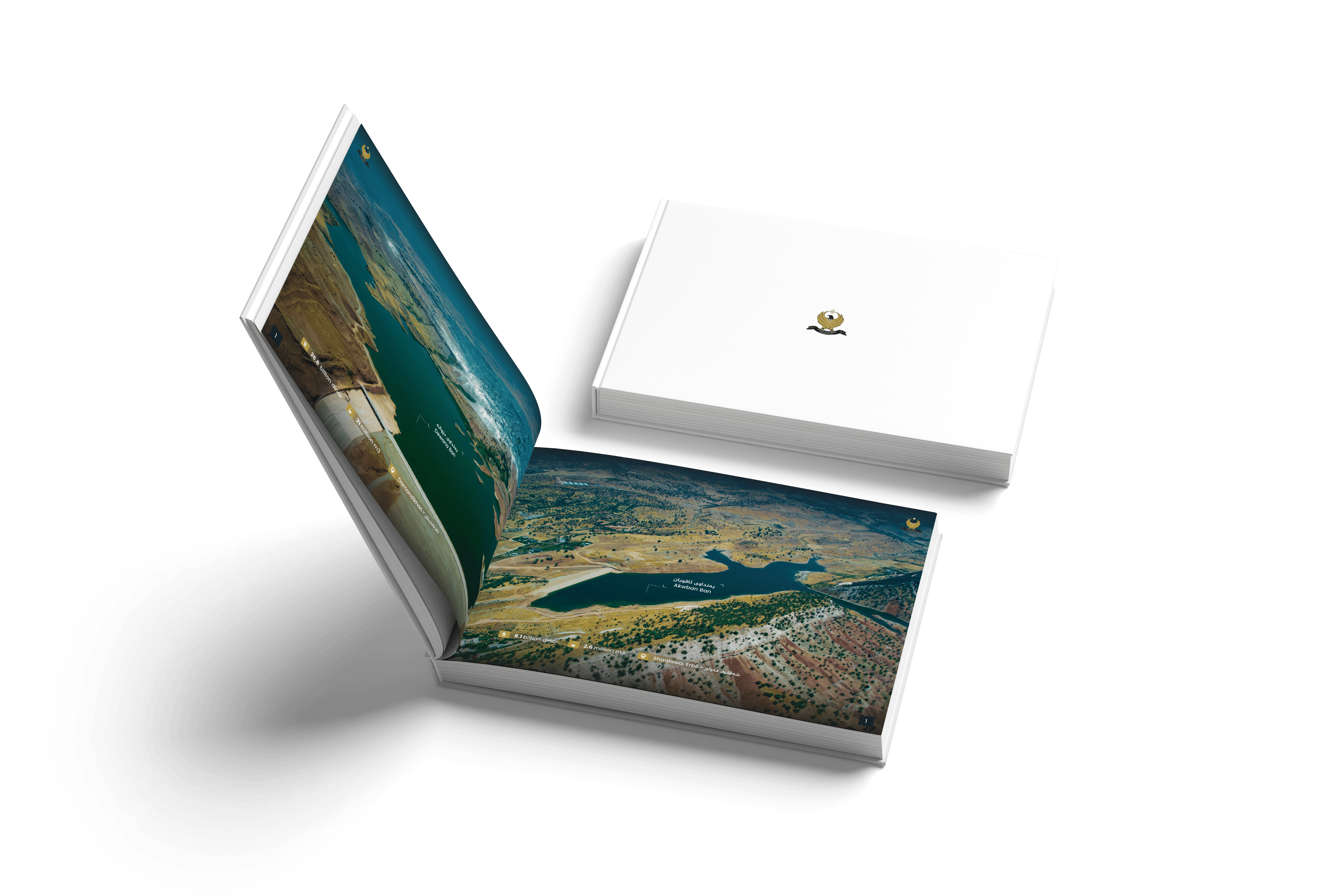 Strategic Projects Cover