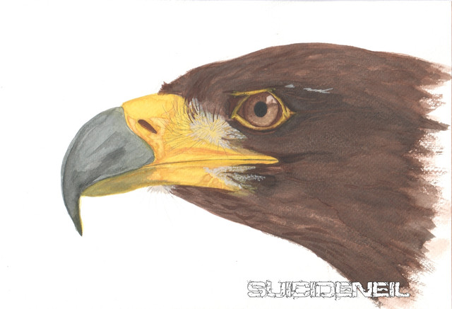 Painting3