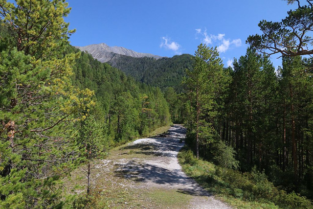 IMG 0381.jpg