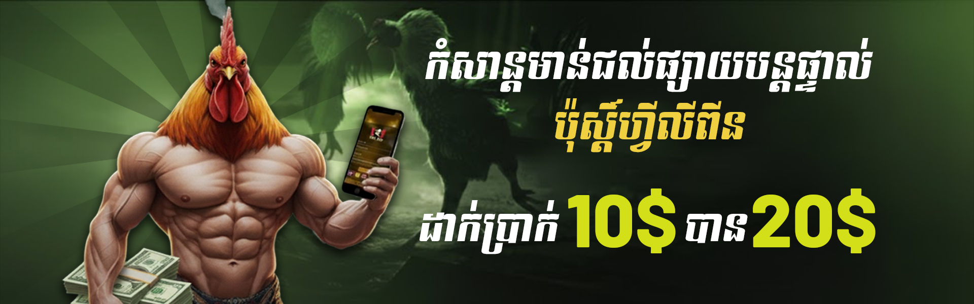 Promotional Banner 3